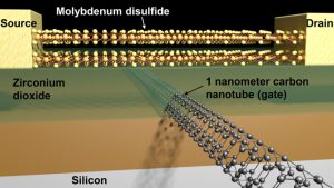 Schematic of a transistor with a molybdenum disulfide channel and 1-nanometer carbon nanotube gate. (Credit: Sujay Desai/UC Berkeley)