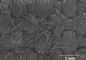Electron microscopy image of a conductive graphene/cotton fabric. Credit: Jiesheng Ren