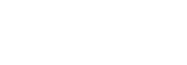 NexOptic logo