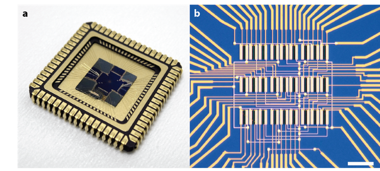 Layered materials electronic chips